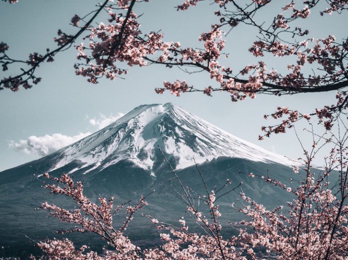 Volunteer Abroad Japan