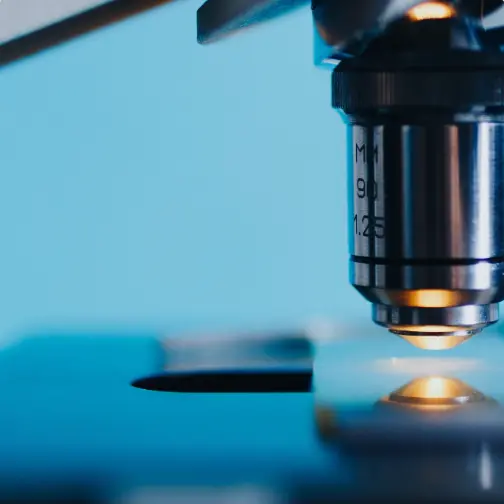 AP Biology Preview 2026 Summer Boot Camp